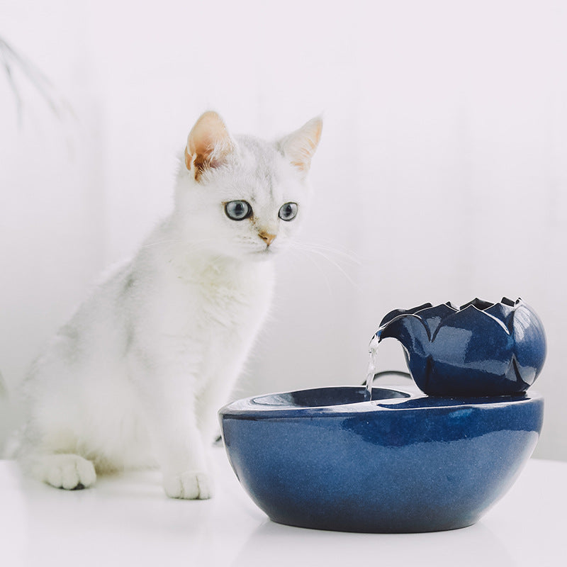 The Nokura Lotus Fountain — Ceramic Hydration for Cats & Dogs